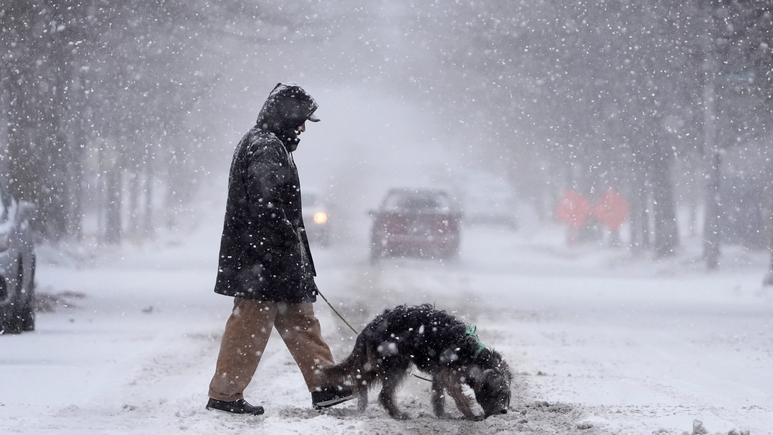 Travel Nightmare: Dangerous Snowstorm to Dump 18 Inches and Ice Across New England!